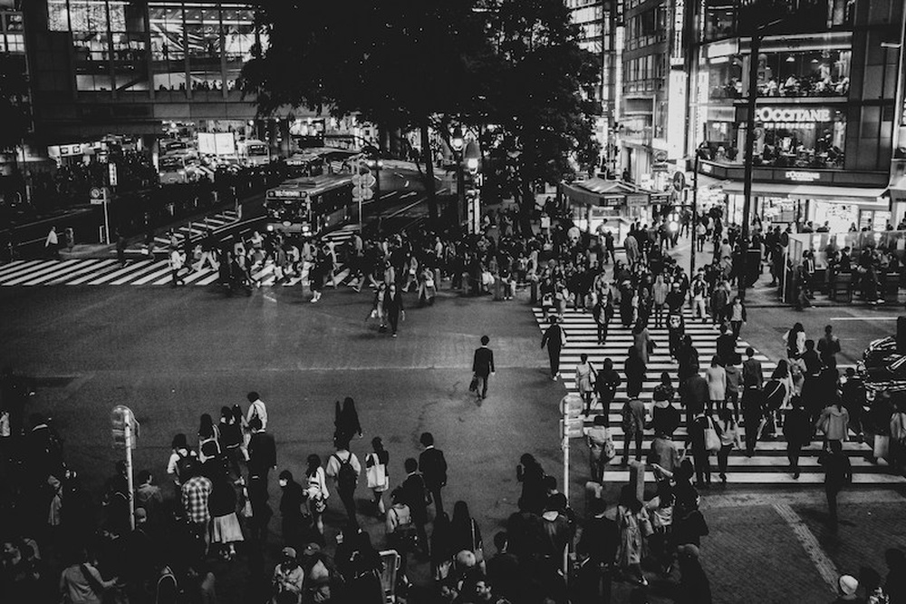 自民黨大獲全勝，日本安保政策迎來轉捩點？未來走向成焦點